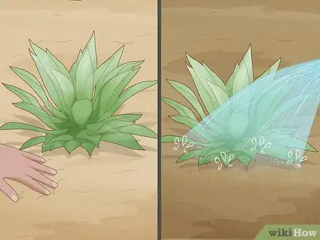 Image titled Plant Succulents Step 10