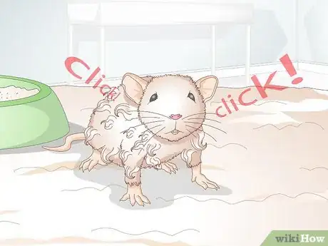 Image titled Know if a Gerbil Is Ill Step 10