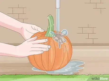 Image titled Plant Pumpkin Seeds Step 11