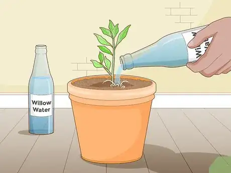 Image titled Promote Root Growth Step 11