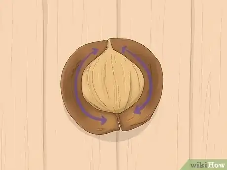 Image titled Identify Hickory Nuts Step 3