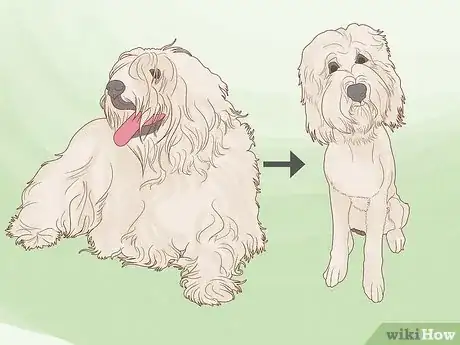 Image titled Know How Much to Tip a Dog Groomer Step 11