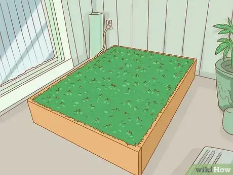 Image titled Build an Outdoor Dog Potty Area on Concrete Step 12