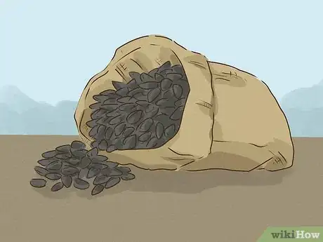 Image titled Eat Sunflower Seeds Step 1