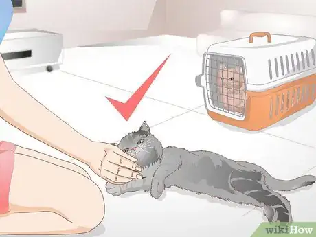 Image titled Get Rid of Cat Spray Odor Step 12