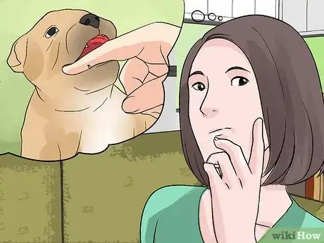 Image titled Stop Your Dog from Biting Other People Step 1