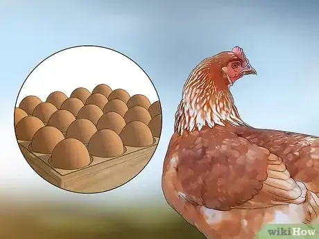 Image titled Start a Chicken Farm Business Step 1