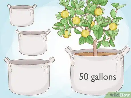 Image titled Use Growing Bags for Plants Step 1