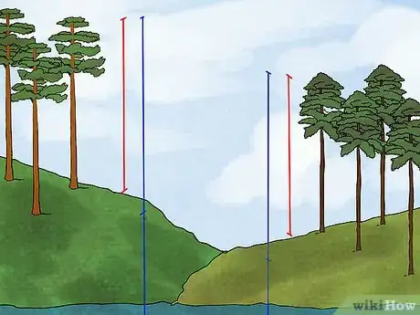 Image titled Tell the Difference Between a Loblolly and Longleaf Pine Step 3