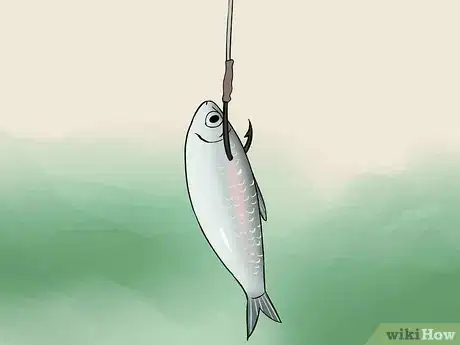 Image titled Catch Garfish Step 11