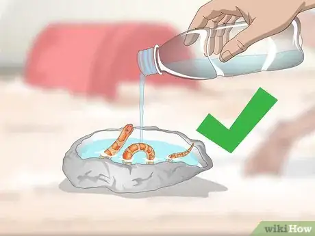 Image titled Create a Corn Snake Vivarium Step 11