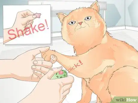 Image titled Teach Your Cat to Give a Handshake Step 9