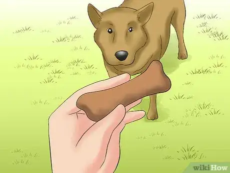 Image titled Handle an Approaching Dog Step 19