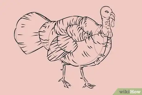 Image titled Draw a Turkey Step 21