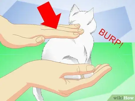 Image titled Get Your Kitten to Eat Step 5