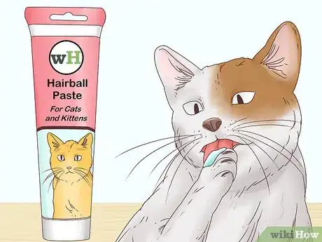 Image titled Help a Cat Cough Up a Hairball Step 1