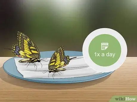 Image titled Feed Butterflies Step 5