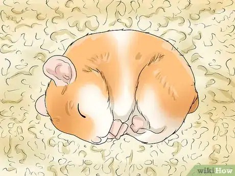 Image titled Spot Illness in Hamsters Step 5