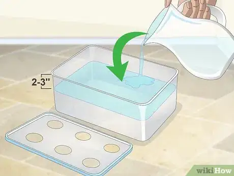 Image titled Start a Hydroponic Garden in Your Apartment Step 3