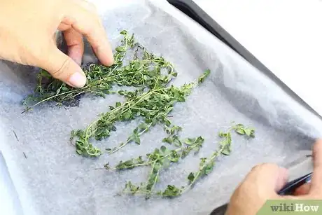 Image titled Dry Thyme Step 10