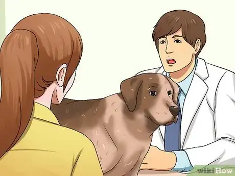 Image titled Determine if a Dog Is Dehydrated Step 5