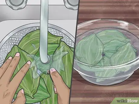 Image titled Eat Plantain Leaves Step 2