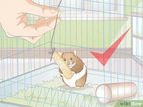 Image titled Make Hamster Treats Step 20