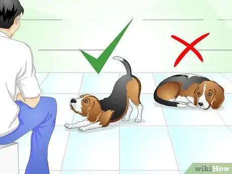 Image titled Nurse a Dog when It's Sick Step 2