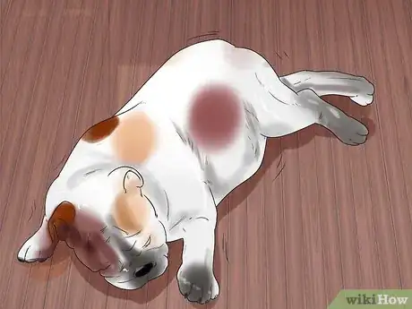 Image titled Help a Dog Who Has Canine Epilepsy Step 10