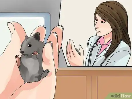 Image titled Care for Chinese Dwarf Hamsters Step 12