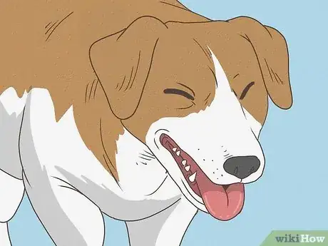 Image titled Know When Your Dog is Sick Step 12