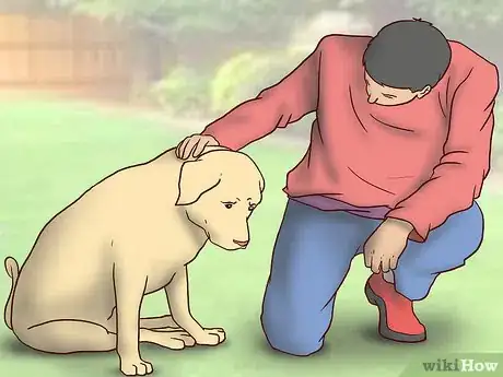 Image titled Help an Older Dog Grieve the Loss of Its Owner Step 5