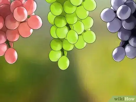 Image titled Choose Grapes Step 4