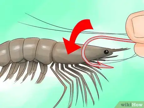 Image titled Hook a Shrimp Step 1Bullet2