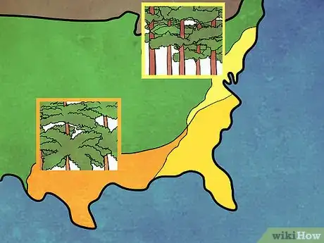 Image titled Tell the Difference Between a Loblolly and Longleaf Pine Step 1