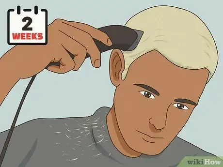 Image titled Dye Buzzed Hair Step 19.jpeg