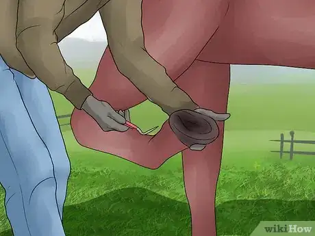 Image titled Pick a Horse Hoof Step 5