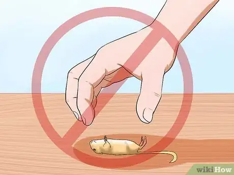 Image titled Pick up a Gerbil Step 13