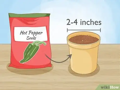 Image titled Grow Hot Peppers Step 3