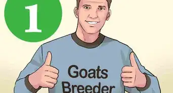 Identify Goat Breeds