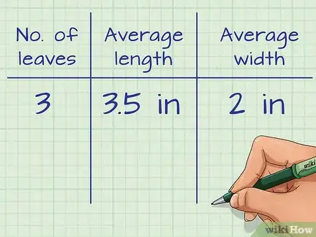 Image titled Measure Growth Rate of Plants Step 6