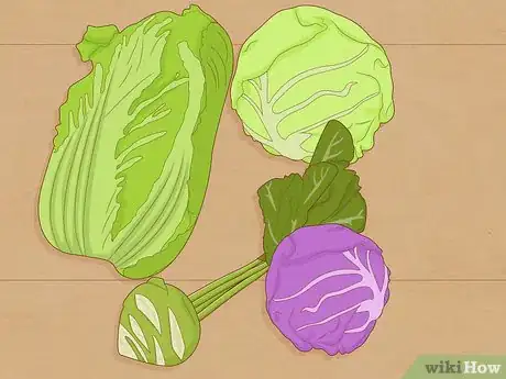 Image titled Grow a Cabbage Step 1