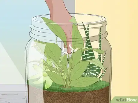 Image titled Grow a Garden in a Bottle Step 17