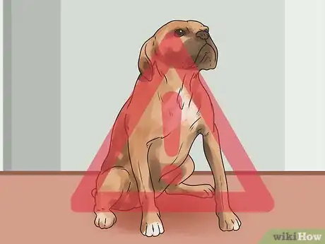 Image titled Stop a Boxer Dog from Biting Step 13