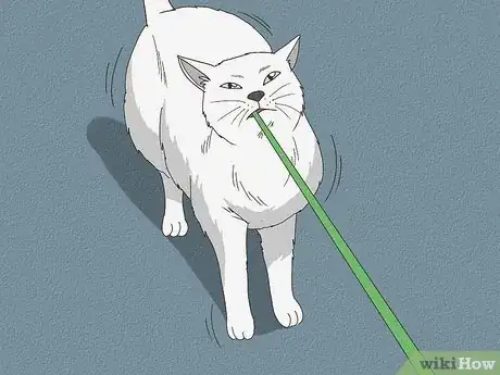 Image titled Determine if Your Cat is Overweight Step 6