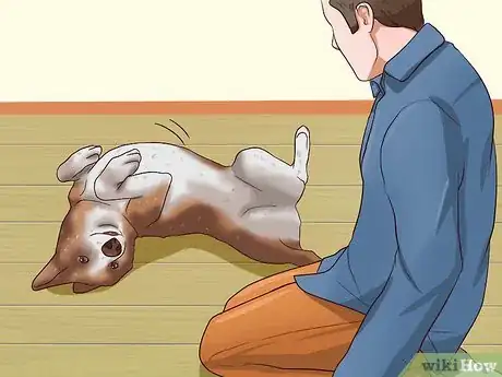 Image titled Get Dogs to Stop Barking Step 16