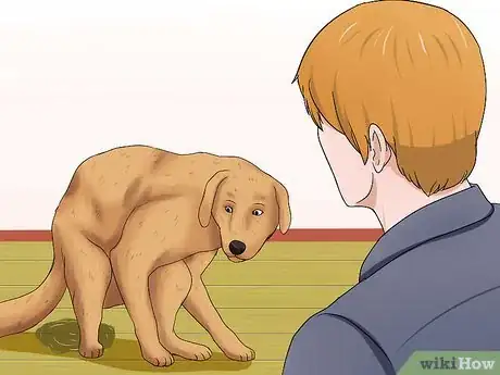 Image titled Determine if a Dog Is Dehydrated Step 4