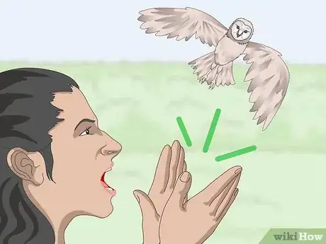 Image titled Keep Owls Away Step 1