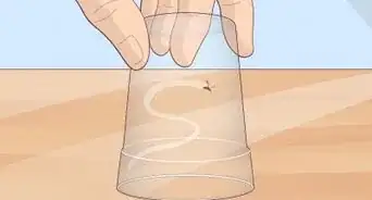 Avoid Mosquito Bites