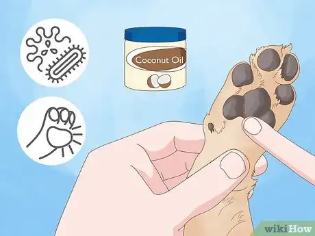 Image titled Stop a Dog from Chewing Its Paws Step 9